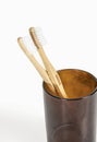 A pair of bamboo toothbrushes on a light background