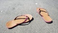 A pair of Beach Sandals