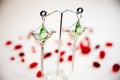 Pair of Beautiful silver Earrings with gemstones on the natural background