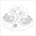 A pair of beautiful swans. Black and white vector illustration