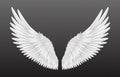 Pair of beautiful white angel wings isolated on transparent background, 3D realistic vector illustration. Spirituality