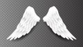 Pair of beautiful white angel wings isolated on transparent background, 3D realistic vector illustration. Spirituality Royalty Free Stock Photo
