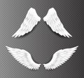 Pair of beautiful white angel wings isolated on transparent background, 3D realistic vector illustration. Spirituality Royalty Free Stock Photo