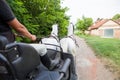 Pair of beautiful white horses view from carriage Royalty Free Stock Photo