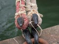 Pair of berthing ropes attached to hooks on the docking port.