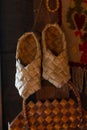 Pair of birchbark shoes