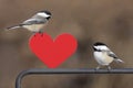 Pair of Birds With Heart Royalty Free Stock Photo