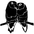 Pair of birds in love on the tree. Black isolated on white Royalty Free Stock Photo