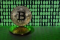 A pair of bitcoins lies on a cardboard surface on the background of a monitor depicting a binary code of bright green zeros and on