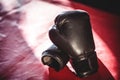 Pair of black boxing gloves Royalty Free Stock Photo