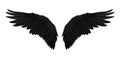 Pair of black dark realistic wings on white background vector illustration Royalty Free Stock Photo