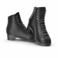 Pair of black female boots isolated on white, isolated product. 3D illustration, clipping path