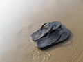 A Pair of Black Flip Flops on a Sandy Beach Royalty Free Stock Photo