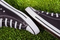 Pair of black sneakers on the green grass Royalty Free Stock Photo