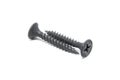 Pair of black steel screws on white background