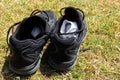 Pair of black trainers, or sneakers, with white socks inside, on the grass outside in the sun Royalty Free Stock Photo