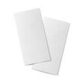 Pair of blank bifold paper brochures.