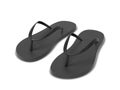 Pair of blank flip flops