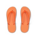 Pair of blank flip flops