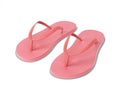 Pair of blank flip flops