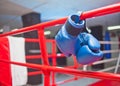 Pair blue boxing gloves hangs off ring. Royalty Free Stock Photo