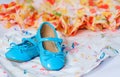 Pair of blue dancing shoes Royalty Free Stock Photo