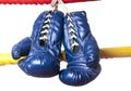 A Pair of blue gloves Royalty Free Stock Photo