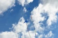 Pair of blue kites Royalty Free Stock Photo