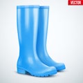 Pair of blue rain boots