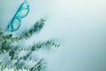 A pair of blue reading glasses and a green plant on a solid blue background