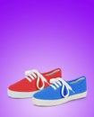 Pair of blue and red unisex and kids sport shoes Royalty Free Stock Photo