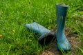 A pair of blue rubber boots in the green grass