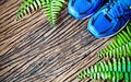 Pair of blue running shoes laid on a grunge wooden floor background with nature ferns, top view with copy space Royalty Free Stock Photo