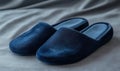A pair of blue slippers with a shiny, shiny, shiny look Royalty Free Stock Photo