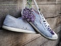 Pair of blue sneakers and bunch of lavenders on wooden fence in the garden