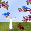 Pair of Bluebirds and Bunny Background