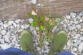 A pair of boots on a heap of small rocks