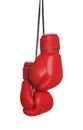 Pair of boxing gloves hanging on white background Royalty Free Stock Photo