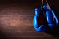 A pair of bright blue and red boxing gloves hangs against wooden background. Royalty Free Stock Photo