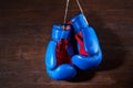 A pair of bright blue and red boxing gloves hangs against wooden background. Royalty Free Stock Photo