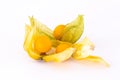 Pair bright mature physalis on a white background exotic fruits