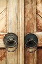 A Pair of Bronze Vintage Door Handles