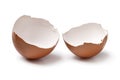 Pair of brown empty egg shells close up on white background