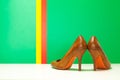 Pair of brown high heels Royalty Free Stock Photo