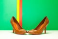 Pair of brown high heels Royalty Free Stock Photo