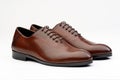 Pair of brown male classic shoes