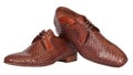 Pair of brown male classic shoes