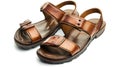 Pair of brown sandals with a brown strap Royalty Free Stock Photo