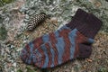 a pair of brown striped socks in the forest on a stone