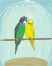 A pair of budgerigars in a cage, illustration